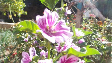 CCEDBCE9-17BD-4609-A75E-513DD3046892/L0/001