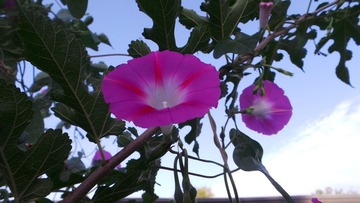 5228FB4A-2012-4029-BFD4-18EA2C3BE8A2/L0/001