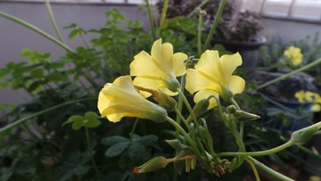 98CA5178-7914-4CD5-960A-BF6DBFDD9F97/L0/001