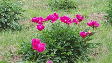 34C4A9F4-04F7-47FD-B3DB-F9C11FBADC45/L0/001