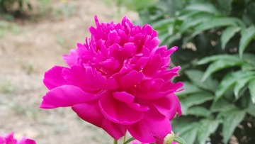 4BB5EF4A-803F-49EF-BC04-A16FBE98FEE9/L0/001