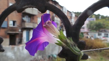 5EE9764D-0C93-4386-B7D8-28AFB94F2EEA/L0/001