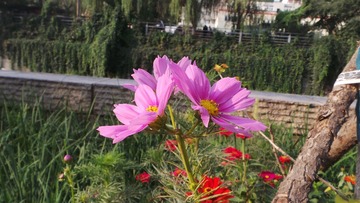 031ED3F7-5724-4C00-BC77-01961B0B5134/L0/001