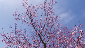 D40D03DA-30A9-4E26-97DA-437D7722700A/L0/001