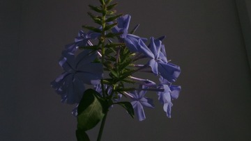 903E5704-FA63-46D5-9B09-9F4C5033B614/L0/001