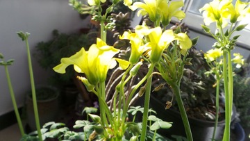 524AFF43-02AD-4D9C-B539-54E051530966/L0/001