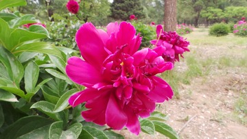 BD59F7E9-81E7-4524-9DF3-22F80630AFA5/L0/001