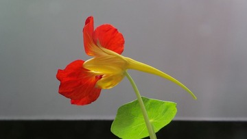 86547713-2DD5-4B7F-B448-40ED7DDD6C0C/L0/001