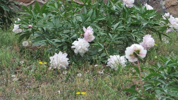 B02647B6-104D-4DE8-9D72-5332F29103D9/L0/001