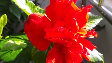 3FB4058C-4BD9-4BEB-90BB-793E31F2E374/L0/001