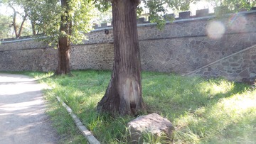 AB25F5D2-7DF7-4C88-8A48-1AAA706AE6A7/L0/001