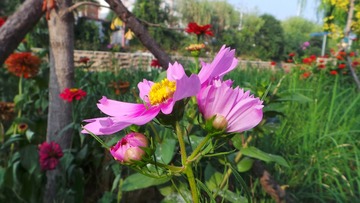 C1BE85BD-0395-46EF-A6F8-14462466F122/L0/001