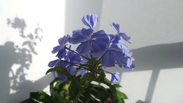 F77F0F94-82DE-4CFC-B3B4-E503A1AF5232/L0/001