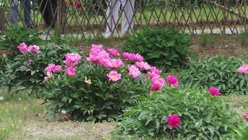 D337F12C-2550-49DC-8F56-1CE162772BD2/L0/001