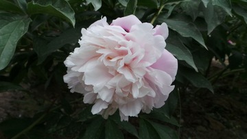 9D939FD2-C449-46AE-B81F-02BDCBBF9F12/L0/001
