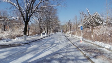 985175BD-2AAD-4044-8636-5C49A9B55C95/L0/001