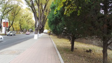 30BD14BD-93DC-46DE-9B1D-CB9F8D7E0107/L0/001