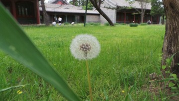 0F467E4A-E4D0-4503-A322-11FBF881A810/L0/001