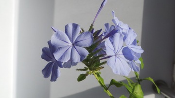 8289498C-0461-43D7-ACFE-BD5167278375/L0/001