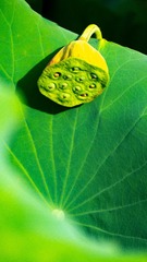 42042