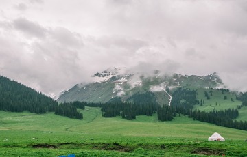 870341