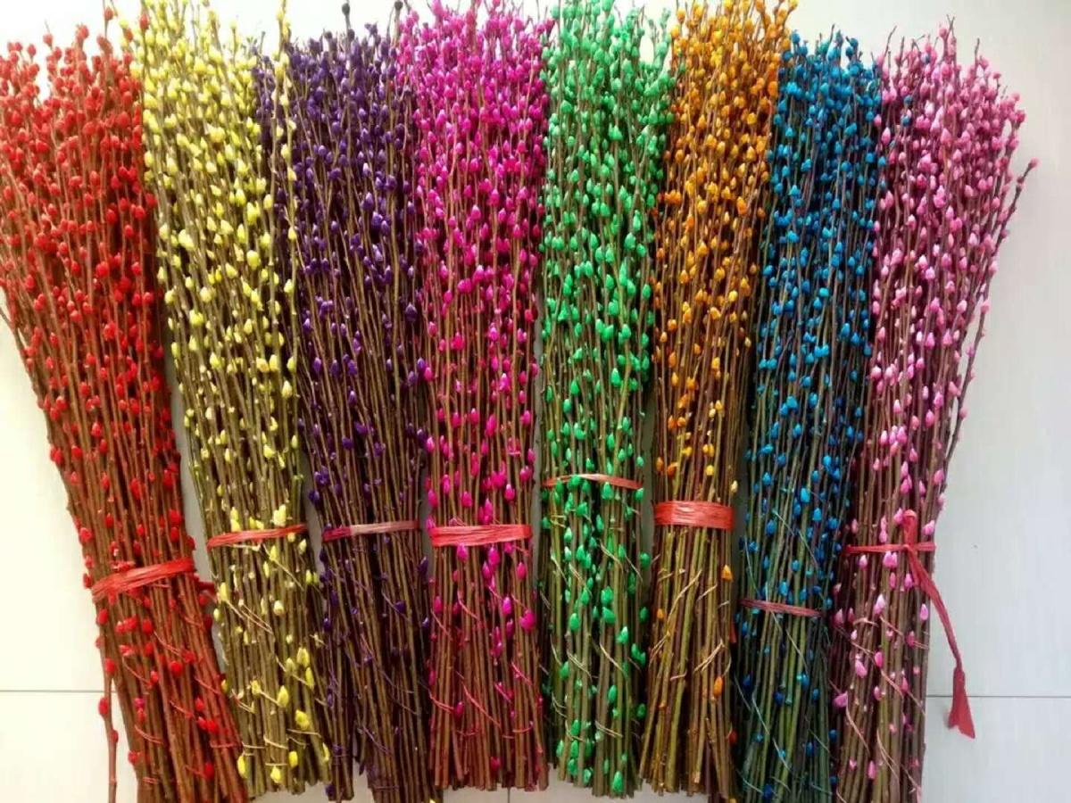 七彩银柳(此产品只在11月-2月出售)