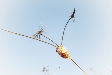 3044D3F9-2F84-40E7-BC57-C8EEB9786A6F/L0/001