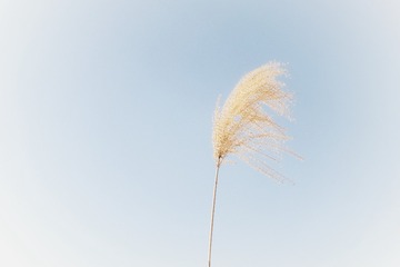 0264D6C6-D306-4ED4-B9E8-B5AF23A773FA/L0/001