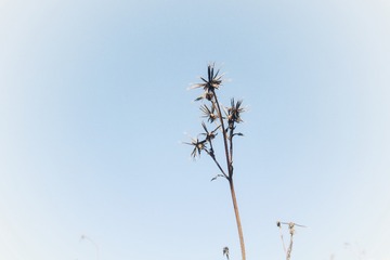 64C05C41-E0FF-4657-B298-DD0F03E19348/L0/001