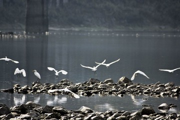 IMG_6025_2