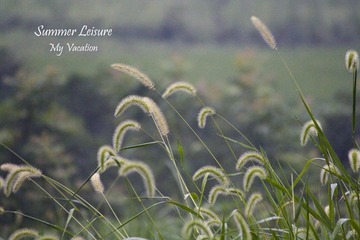 IMG_6104_z