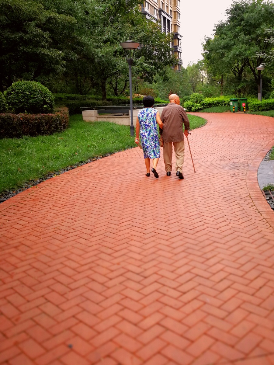 这是小区里的一对老人,每天下午他老伴都会搀着他出来散步.