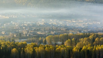 _8108168