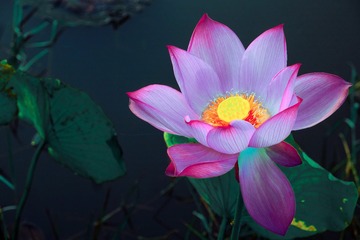 1F1C756E-6E38-45A7-BD4B-A0F2643AAFA8/L0/001