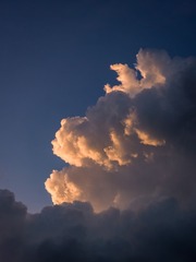 42926