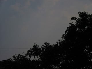 1292112