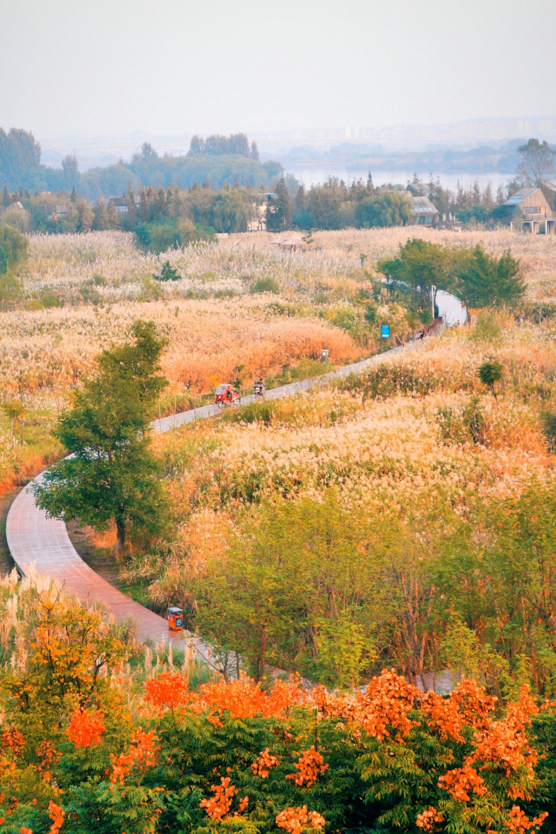 月亮湾湿地公园秋色.