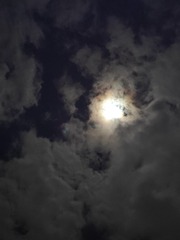 1000013541