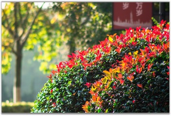 1F52785C-219D-4696-BE50-DA040B231DD3/L0/001