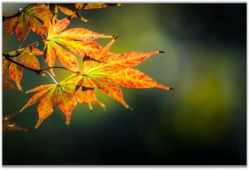 FC404469-DD01-4BBA-83C9-2A50D9505852/L0/001