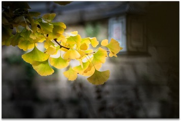2ACCD296-D978-4640-8F37-9DB60D90871C/L0/001