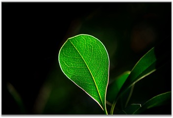 D09FCA47-F120-4F31-9FA9-7F231C4DFE2F/L0/001