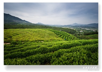 E8703180-C62F-461C-8B1B-27A4246DF838/L0/001