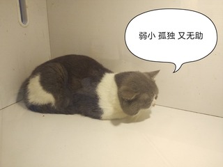 1400