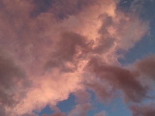 366
