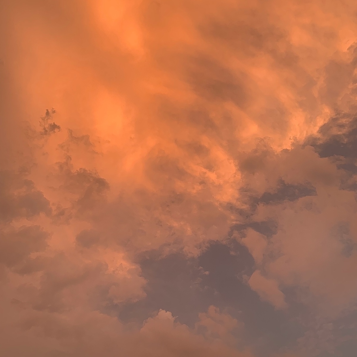 看见了橘黄色的云