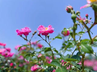 E4690E78-522E-420E-84F5-ED3E32B347F6/L0/001