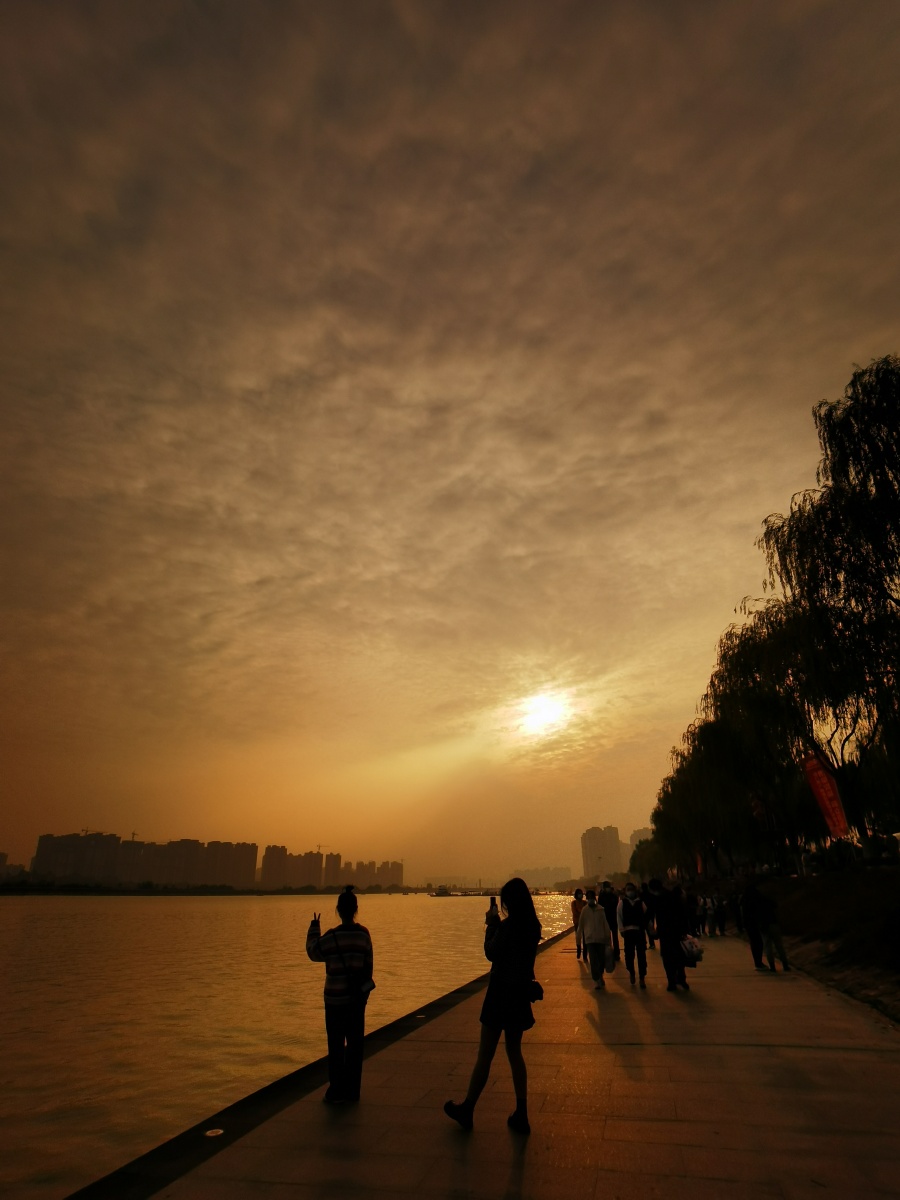 菊 - 潇湘子韵 - 图虫
