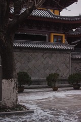 B8AA87EE-EF5C-42CE-B71E-0B8E3A97CB86/L0/001