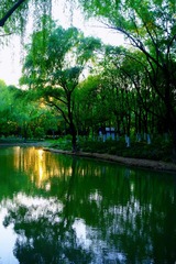 919D2679-68F3-46D8-A972-86301D0ED7CC/L0/001
